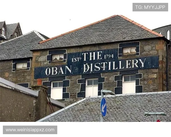 皇家平台:游戏和社交结合的新兴网络平台探索之旅 皇家平台:游戏和社交结合的新兴网络平台探索之旅