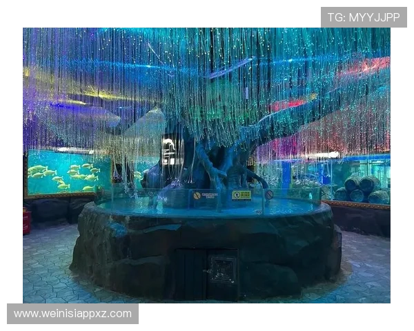 回力海立方和哪个赌场合作的具体细节及合作效果评估