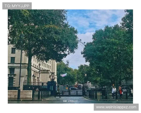 伦敦人官网：关注伦敦环保与可持续发展项目，助力绿色生活方式推广