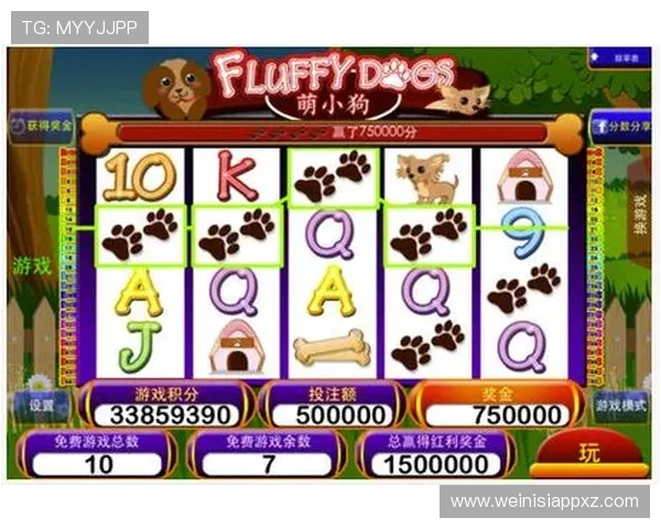 多福多财角子机规则全攻略助你理解游戏流程提升胜率与娱乐体验