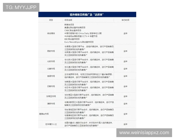 大阳城集团在全球市场的扩展策略与国际合作新动态分析