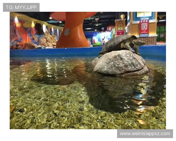 澳门回力海立方全方位攻略助你轻松畅玩海立方娱乐体验指南