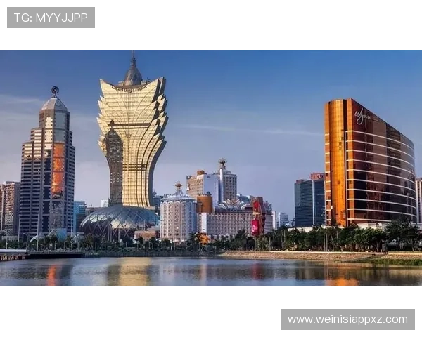 澳门新葡京在线游戏多样化，满足不同玩家的娱乐需求